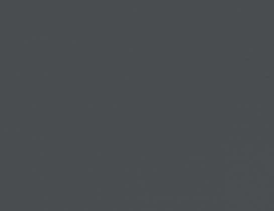 ДСП 0539 Вугілля РЕ swisspan