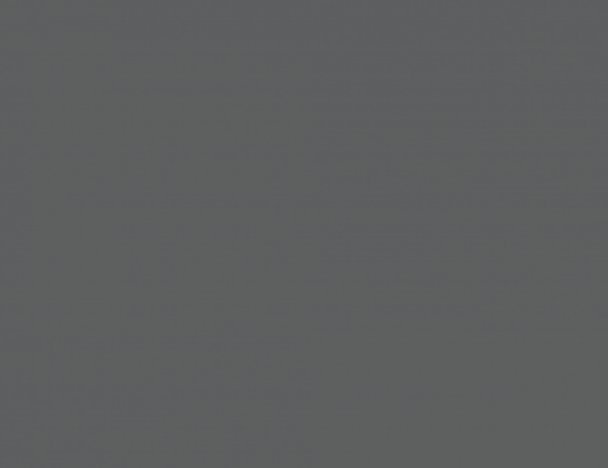 ДСП 0538 Сірий графіт РЕ swisspan