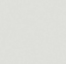 3466- Сірий (RAL 7047)