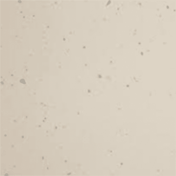 Айворі 1070 SQ (4100*600 ) swiss krono стільниці