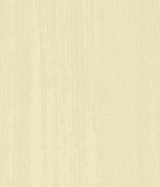 ДСП 0245 Береза Карельська SE (текстура) swisspan