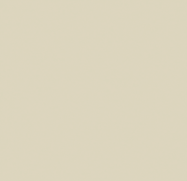 ДСП 5982 Мідія BS kronospan