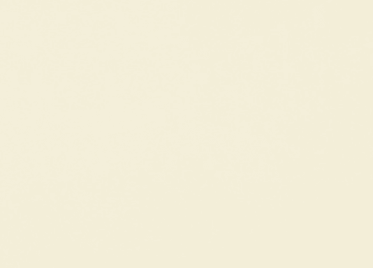 ДСП 0081 Кремовий РЕ swisspan
